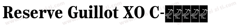 Reserve Guillot XO C字体转换